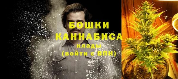 эйфоретик Баксан