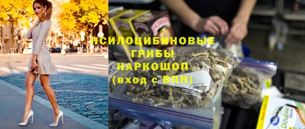 эйфоретик Баксан