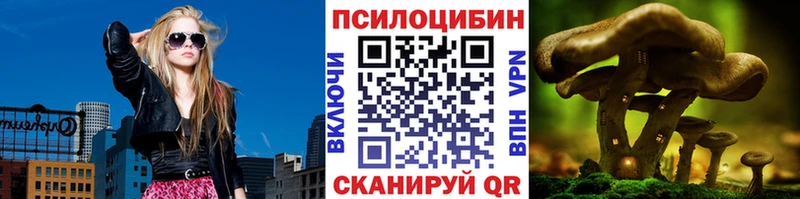 цены блэк спрут маркетплейс Псилоцибиновые грибы прущие грибы Волгореченск
